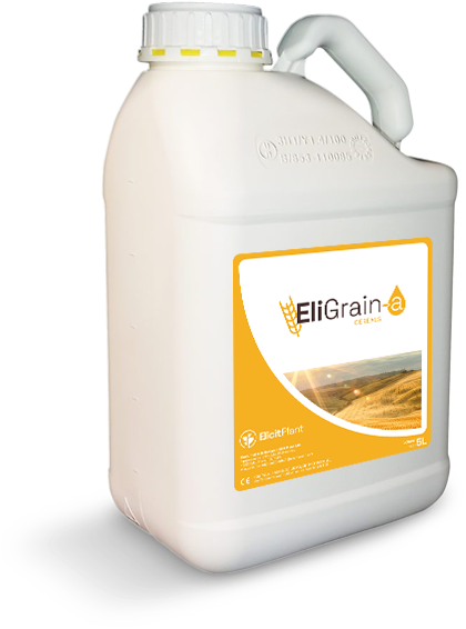 EliGrain-a : Wheat